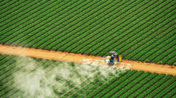 Best Mosquito Control Services  in Stewart Manor, NY