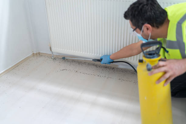 Best Pest Control Near Me  in Stewart Manor, NY