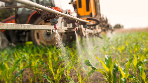 Pest Control Cost in Stewart Manor, NY